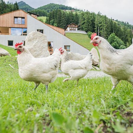 Koasa-Hof Ganzes Ferienhaus Und Sauna 5 Zimmer 240Mq Кадіп'єтра Екстер'єр фото